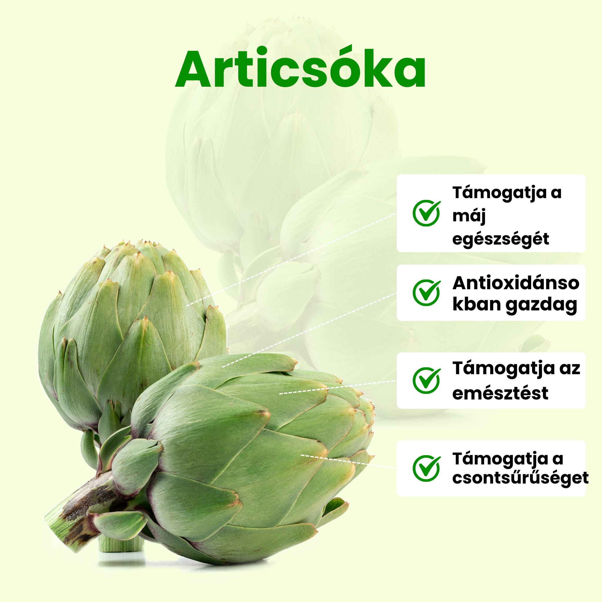 (Maďarština) (4)